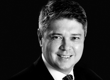 Michael Palmer, Director lawyer