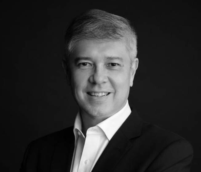 Michael Palmer, Director lawyer